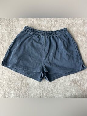Brandy Melville Vintage Blue Casual Shorts